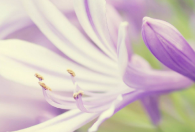 ​励志的话语致自己