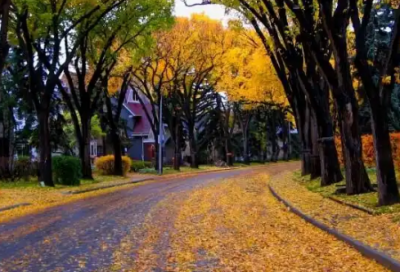 ​励志晚安心语