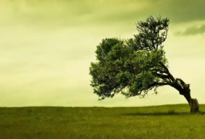 ​2026给实习生的励志赠言短信