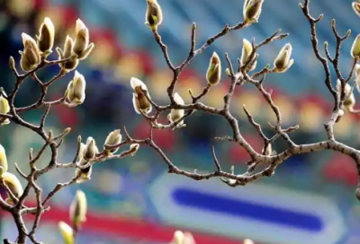 ​赚钱励志短句 赚钱励志短句