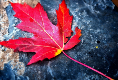 ​上班族励志早安问候语