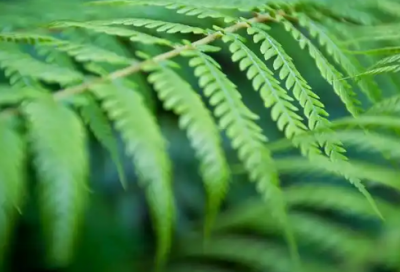 ​写给自己的话励志,写给自己的一段话唯美