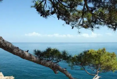 ​2026年励志语言120句