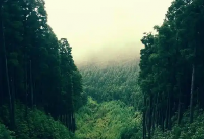 ​早安心语一句话励志