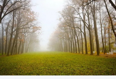 ​微信早安励志心语大全