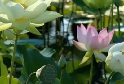 ​高考加油励志语