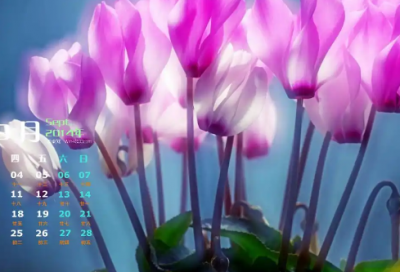 ​2026年励志短语118句