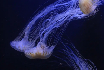 ​简洁的励志的语句摘录