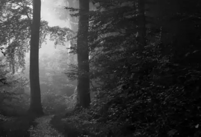 ​创业早安励志心语