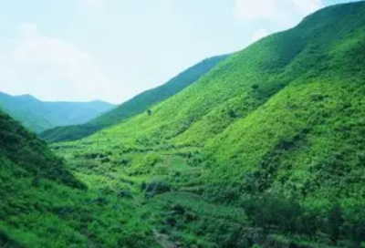 ​简短励志早安语句