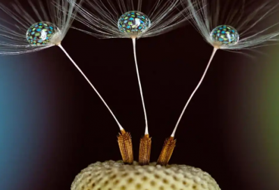 ​学生励志的话简短霸气74句