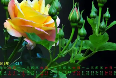 ​励志自己一句话 一句致自己的话励志