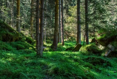 ​祝宝宝满月祝福语 祝宝宝满月快乐祝福语