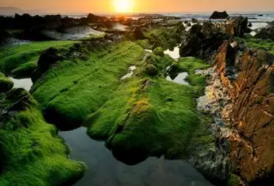 ​秋分祝福语微信朋友圈说说 健康要拥抱秋天快乐