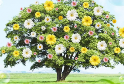 ​恭喜升官的祝福语40句