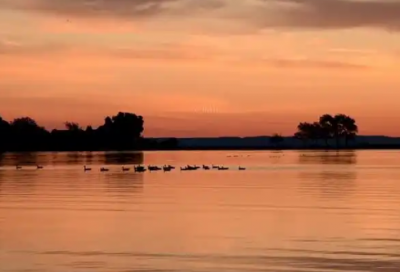 ​2026年幼儿园新年祝福贺卡文案