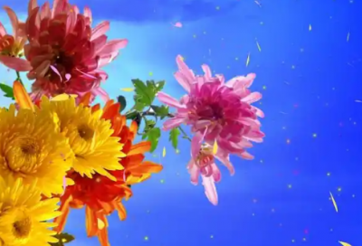 ​2026年辞旧迎新祝福语32句