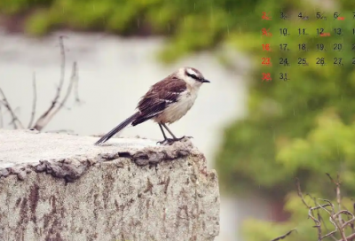 ​牛年吉祥话祝福语 牛年吉祥话祝福语大全