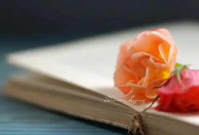 ​春节贺卡员工祝福语 2026春节员工贺卡祝福语