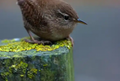 ​28岁生日祝福语致自己 28岁生日写给自己的话