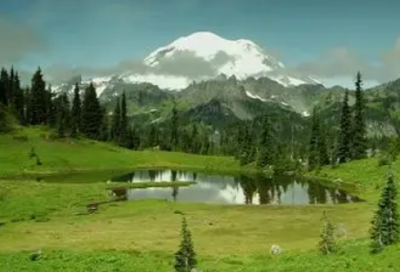 ​新婚祝福语简短英文