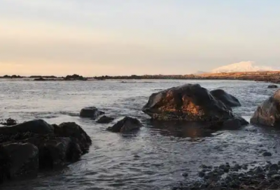 ​上司离开祝福语40句