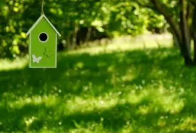 ​写给猴宝宝的祝福语53句