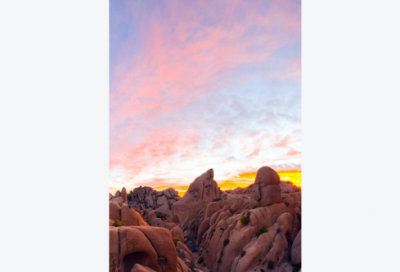 ​端午节安康的祝福语37句