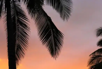 ​同事高升离别祝福语40句