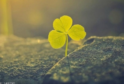 ​四周年的祝福语大全34句