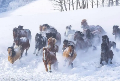 ​2026关于圣诞节给小朋友的简短祝福语