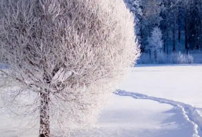 ​送儿子上大学祝福语 儿子考上大学祝福语