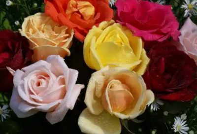 ​七夕客户短信祝福语