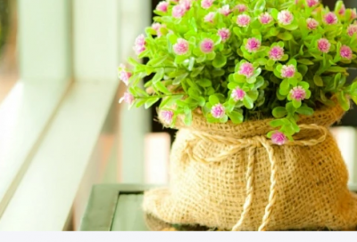 ​生日祝福文案