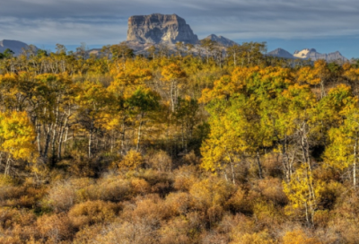 ​端午节后上班祝福语43句