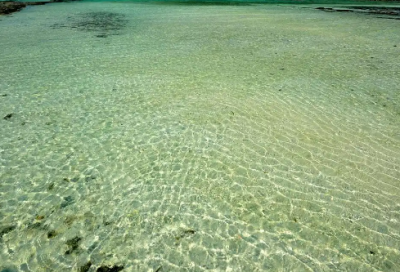 ​圣诞节贺卡内容温馨的祝福语句子