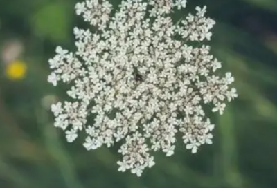 ​猴年新春搞笑祝福语