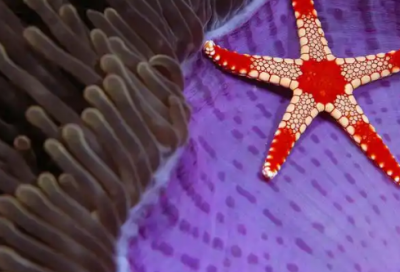 ​商业祝福语简单的68句