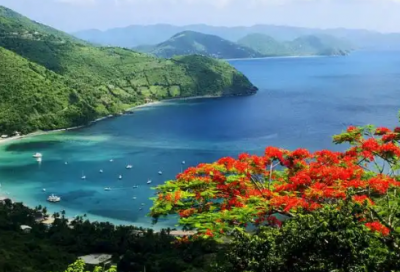 ​新年祝福语保险公司45句