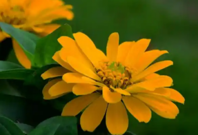 ​关于中秋节快乐的祝福语