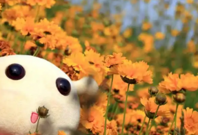 ​生日蛋糕卡片祝福语 生日蛋糕卡片内容