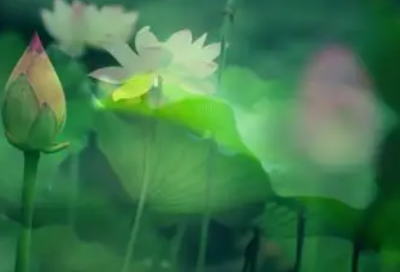 ​有关事业的祝福语66句