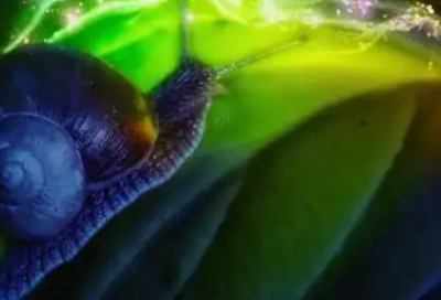 ​婚礼的祝福语有哪些51句