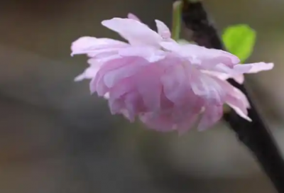 ​恭喜金榜题名祝福语44句