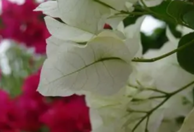 ​精选的qq祝福留言大全 qq精选照片大全