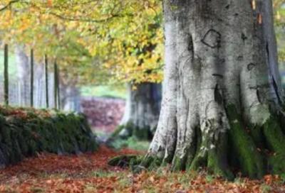 ​1岁孩子生日祝福语