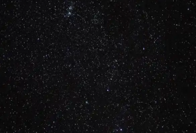 ​祝福语送一朵康乃馨42句