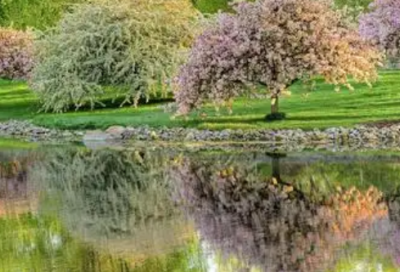 ​六年级祝福语44句