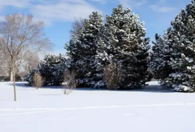 ​生活语录伤感的句子