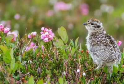 ​特别扎心的情感语录
